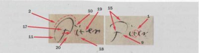 Ил. 4. Увеличенное изображение подписей от имени Петра Великого в письмах 1697-1698 годов с разметкой совпадающих частных признаков