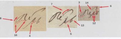 Ил. 6. Увеличенное изображение подписей от имени Петра Великого в письмах 1717-1718 годов с разметкой совпадающих частных признаков