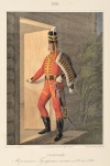 Рядовой Изюмского Гусарского полка, с 1776 по 1783 год. Таблица №628. Литография раскрашенная акварелью. 1844 г.  38х26 см. ВИМАИВиВС