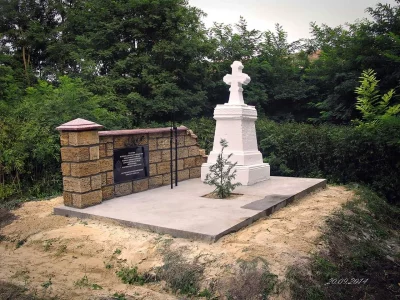 Братская могила времен ПМВ, где захоронено 455 воинов 46 Днепровского пехотного полка РИА. и неустановленное колличество солдат 41 гонведной пехотной дивизии К.U.K, , погибших во время боевых действий у висоты 272.".Брусиловский прорыв"("Доброноуцкое сражение") 4-10 июня 1916 года. Участок фронта Миткеу-Добронауцы. Северная Буковина.