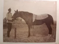 Альбом с фотографиями. Лейб-Гвардии Егерский полк на маневрах. Рядовой держит лошадь под уздцы. 1900 г. Желатино-серебряный отпечаток, 9х12 см; 12х15 см. ГИМ