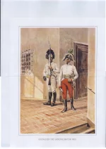 Grenadier und Generalmayor 1809. Австрийские гренадер и генерал-майор в 1809 г.