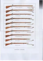Infanterie-Gewehre. Ружья австрийских пехотинцев.