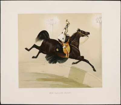 Наездница Кузент. Аммон В., XIX в. 555х730 мм (лист). ГЭ