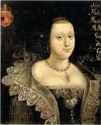 Головчиньская, Софья (польск. Zofia Hołowczyńska; ? — 1605, Самбор) — представительница княжеского рода Головчинских герба «Лебедь» (Łabędź), первая жена князя Григория Львовича Сангушко-Коширского, во втором браке — Станислава Бонифация Мнишека